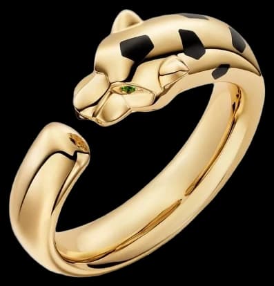 Cartier Panthère de Cartier